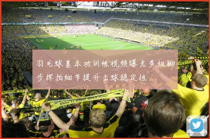 羽毛球基本功训练视频曝光多组脚步挥拍细节提升击球稳定性