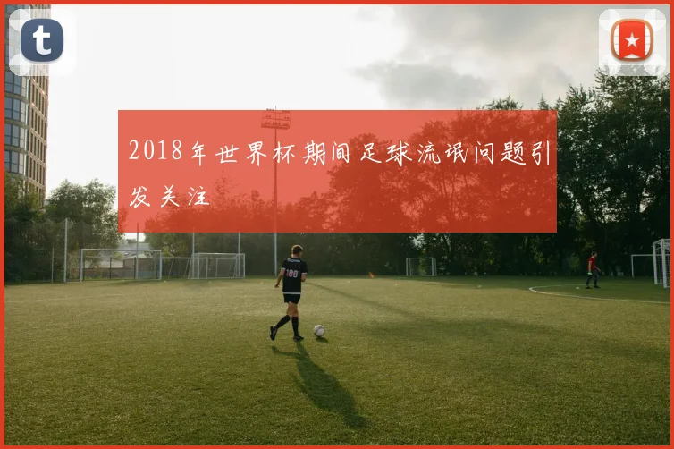 2018年世界杯期间足球流氓问题引发关注