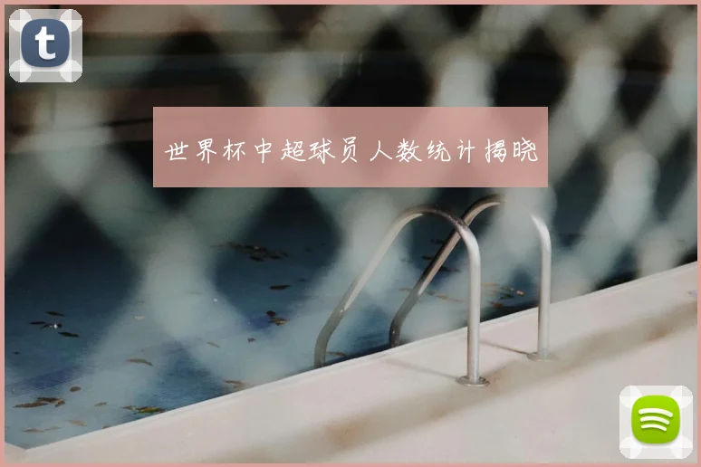 世界杯中超球员人数统计揭晓