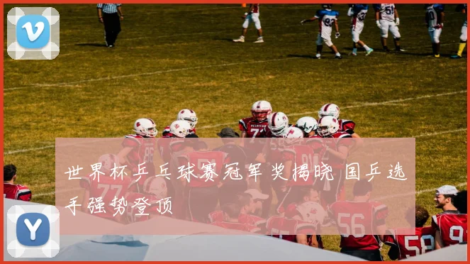 世界杯乒乓球赛冠军奖揭晓 国乒选手强势登顶