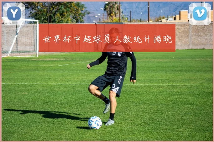 世界杯中超球员人数统计揭晓